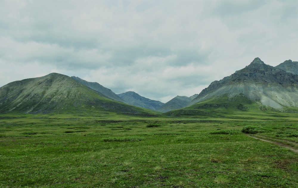 Gates of the Arctic National Park (Official GANP Park Page)